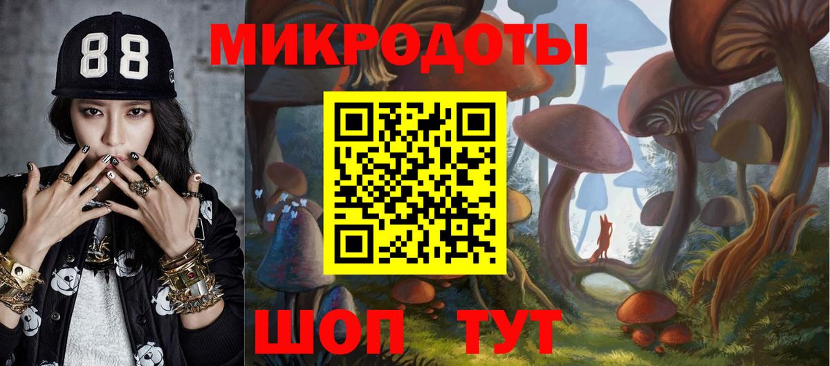 Гатчина  Галлюциногенные грибы Magic Shrooms  наркотики  Вход с VPN 