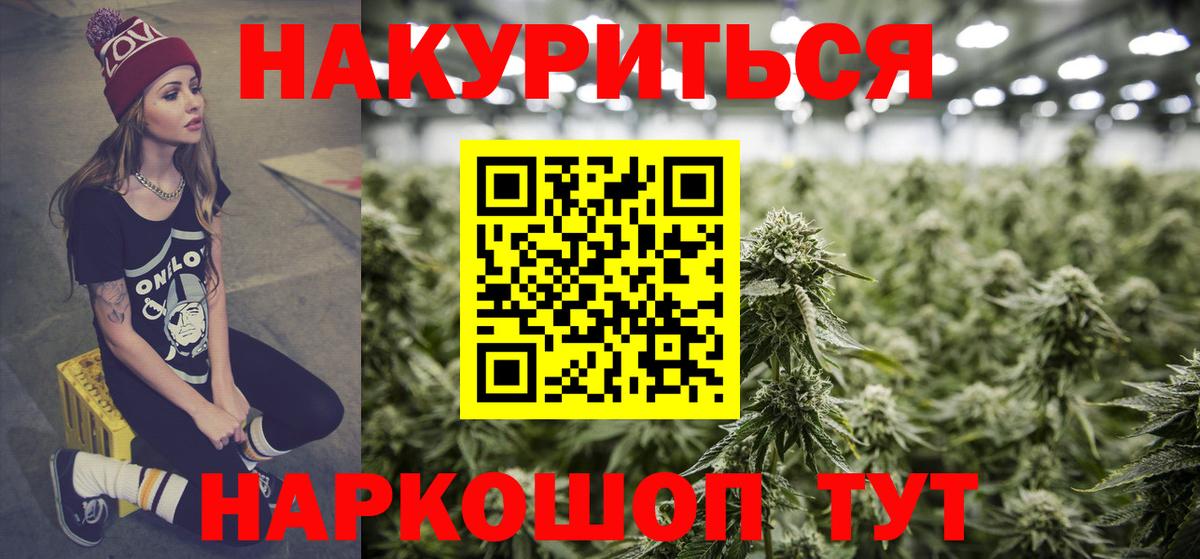 Бошки марихуана конопля Гатчина
